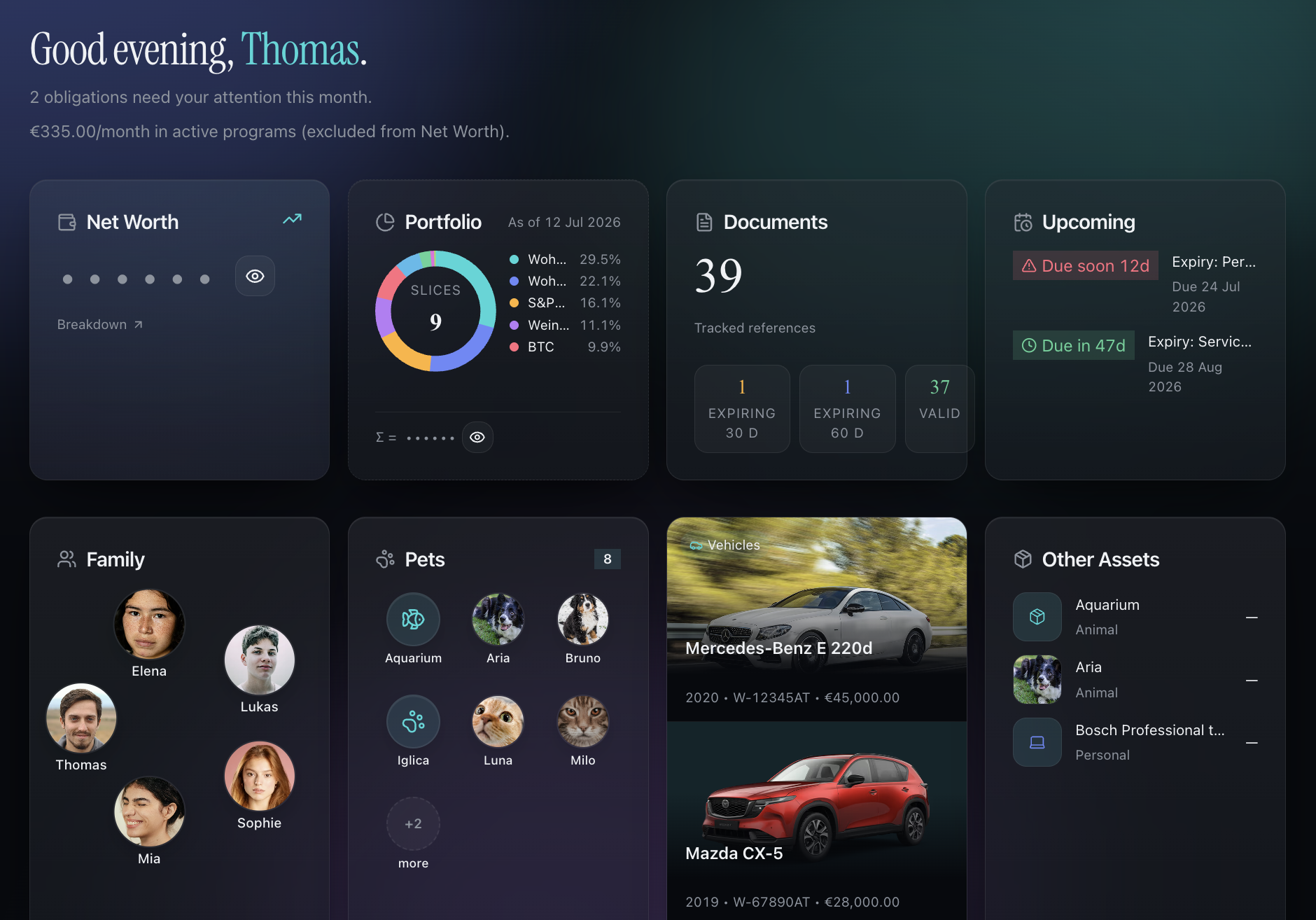 Matricula dashboard showing net worth, portfolio, upcoming obligations, family, vehicles and recent activity