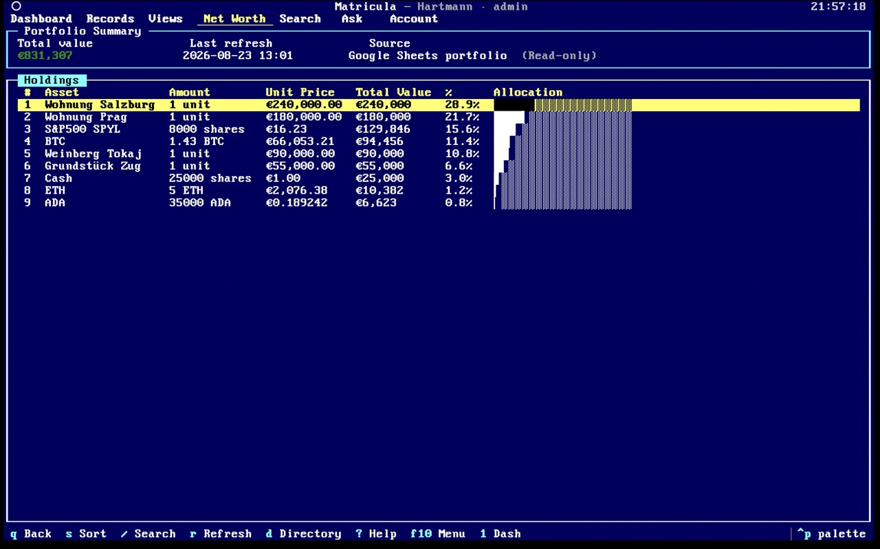 Matricula Console app dashboard showing family counts, documents and concealed net worth in a terminal interface